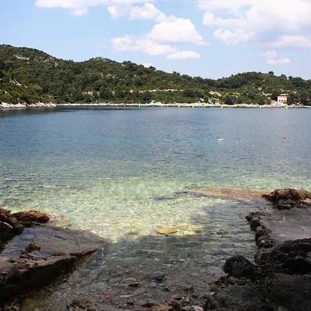 Apartament By The Sea Sobra - Mljet - 600