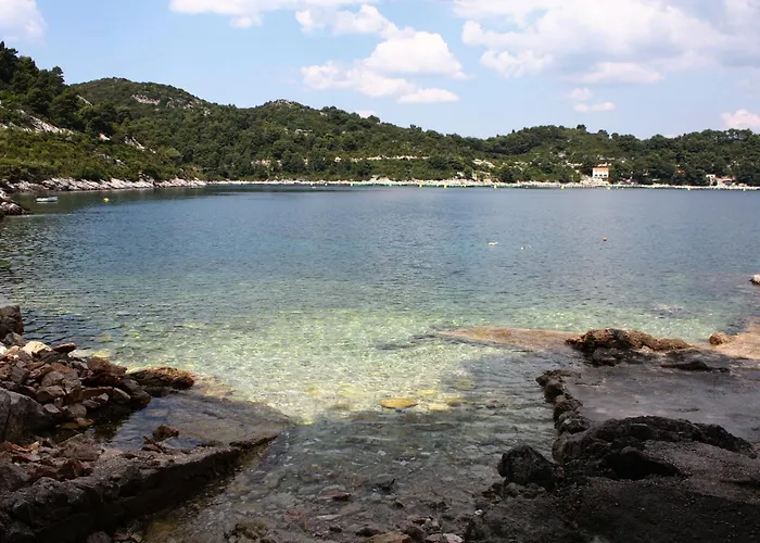 Appartement By The Sea Sobra, Mljet - 600